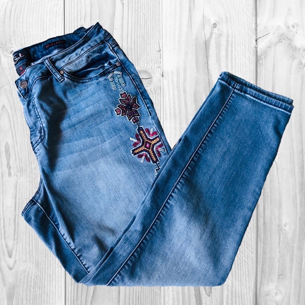 Earl Jeans Blue Skinny Jeans with Multicolor Embroidery